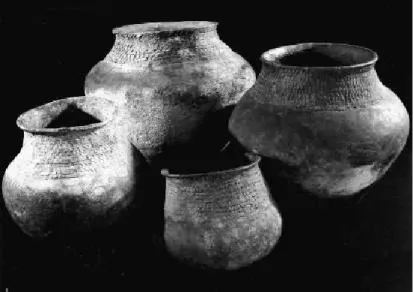 Figura 4 – Cerámica Sangay con los cordones ondulados aplicados del  sitio de Huapula y pequeña olla con caras incisas (Porras, 1987: 208)   Fotos: S