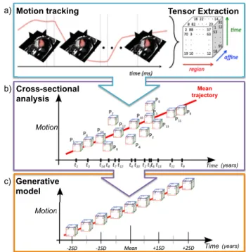 Fig. 1: Proposed pipeline to build a generative model of the long-term motion changes in a population (c) by a) building a data tensor of polyaffine motion parameters that represent the motion over the cardiac cycle for each subject in the population using