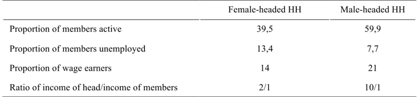 Table 2. Economic participation of members of the household by sex of head  