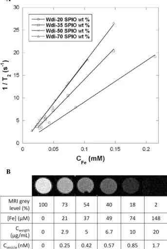 Figure  6. (A)  Transverse relaxation rates (1/T 2 , s -1 ) as a  function of iron concentration (mM) for PTMC 24 -b-PGA 19