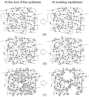Figure 10 – Route 2 : R S  ∼ 1 - FFB CL = 2% - Pictures of gels at the  end of the synthesis (left) and at swelling equilibrium (right), (a) low  Φ synth  (1%); (b) intermediate Φ synth  (3%); (c) high Φ synth  (5% or 7%)