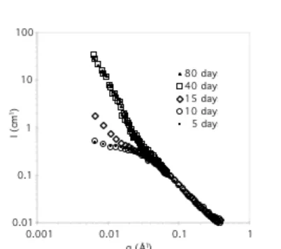 Figure 3. Scattered intensity measured by SANS, for a solution of 1 + 2 in d 8 -THF, at different times (C 