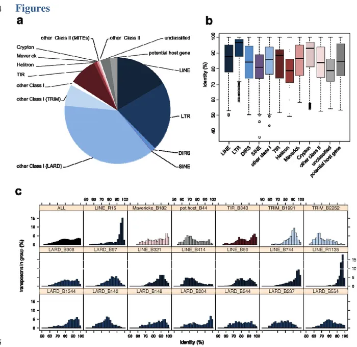 Figure 1: Repeated elements identified within the genome of E. subulatus Bft15b. A) Number of 746 