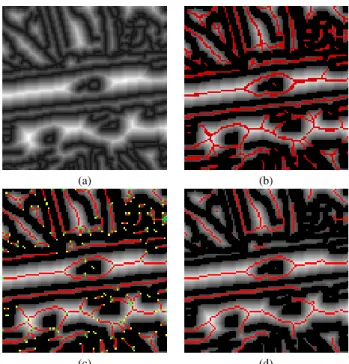 Fig. 5. Steps of the skeletonization procedure: the original distance transform (a) is first thresholded (the value of the threshold is set to 3), then the crest line detection and linking procedure provide the superimposed map in (b) (in bright red the li