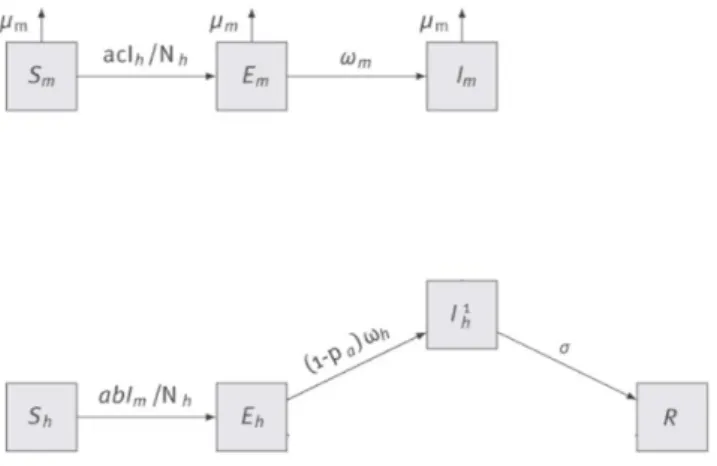 Figure 2. Modèle mathématique de transmission d’une arbovirose utilisé au  sein de ce rapport