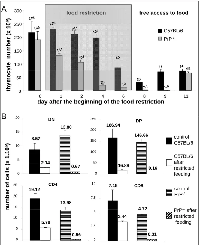 Figure 4- PrP -/- mice are more affected by a redox stress than C57BL/6 mice A: miceFigure 4 PrP mice are more affected by a redox stress than C57BL/6 mice.A: mice were allowed a free access to food and water for two hours per day for seven days