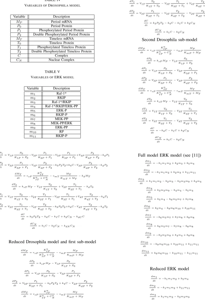 TABLE V V ARIABLES OF ERK MODEL