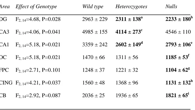 Table 3. VGlut1 mRNA expression in wild type, heterozygous and STOP null mice. 
