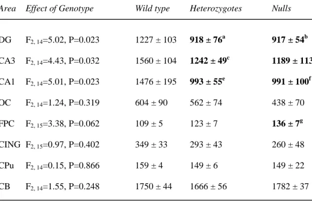 Table 4. GAP-43 mRNA expression in wild type, heterozygous and STOP null mice. 