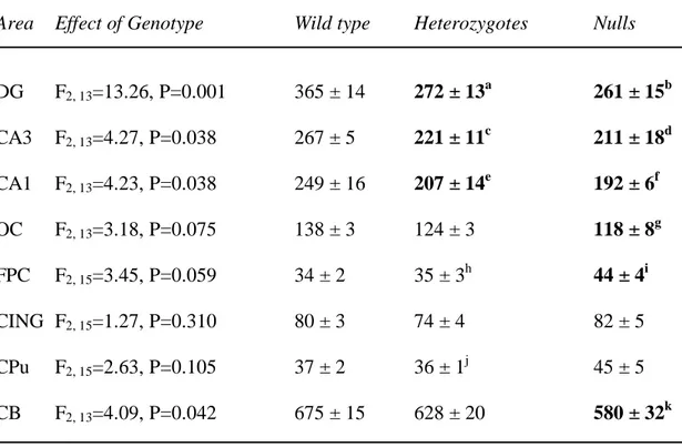 Table 5. Spinophilin  mRNA expression in wild type, heterozygous and STOP null mice. 