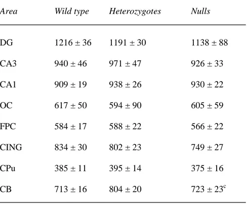 Table 6. MAP2 mRNA expression in wild type, heterozygous and STOP null mice. 