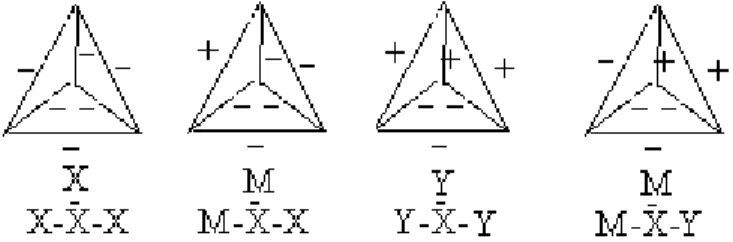 Fig. 4: Pyramids with at least one face of type X.