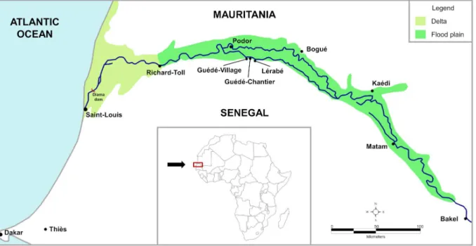 Fig. 1. Location map of the studies villages (Guédé-Chantier, Guédé-village and Lérabé)  situated in the middle valley of the Senegal River, district of Podor in the North of Senegal