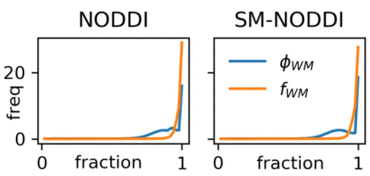 Fig. 1. Average distribution of the signal fraction φ W M (blue) and the volume fraction f W M (orange) of the WM  compart-ment obtained on the studied subjects