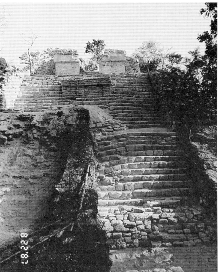 Fig. 5. — Vue de l'escalier de la pyramide de D5-5 sub. 