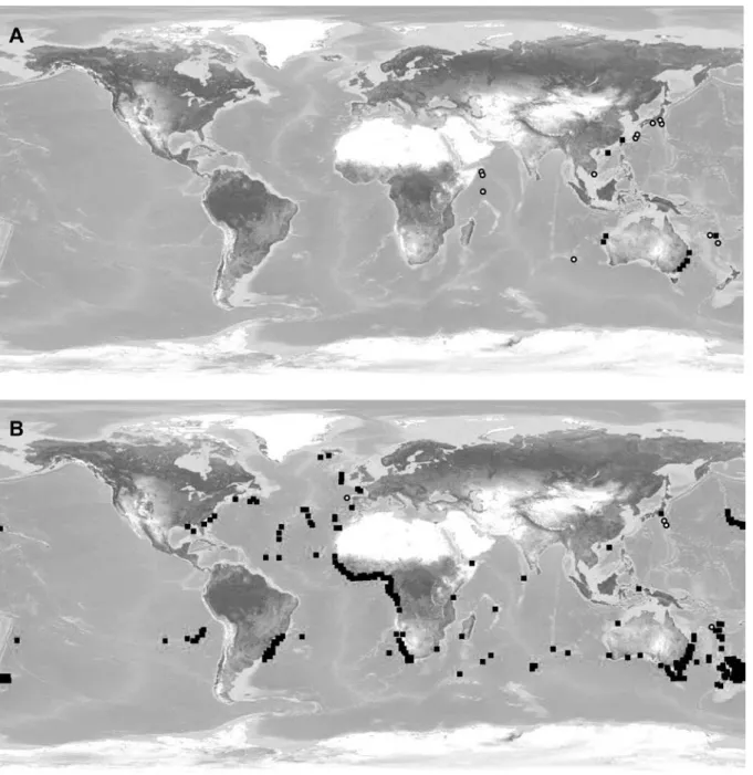 Fig. 1   A  Distribution géographique de Beryx mollis.  B  Distribution géographique de Beryx splendens