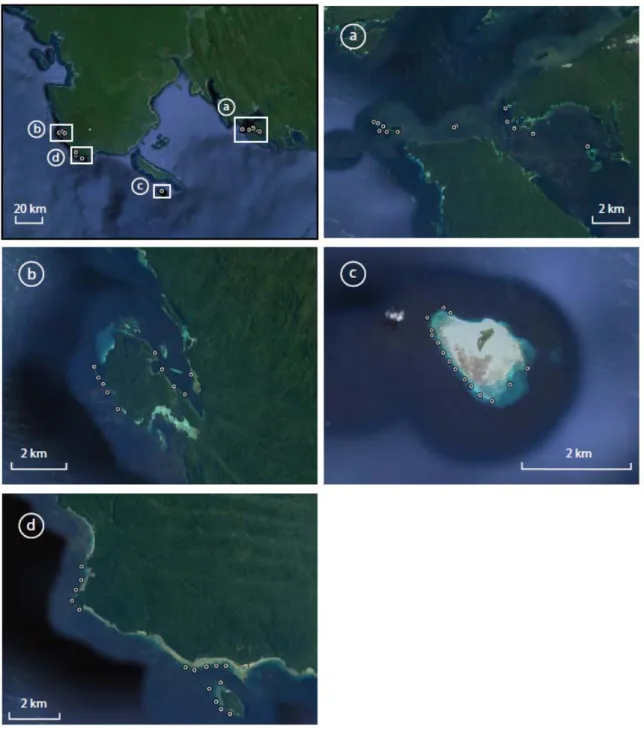 Figure 12. Map of Stereo BRUVS deployments in the Kaimana region and (a) triton bay zone, (b) Kitikiti zone,  (c) Pulau Venu (Tumbu Tumbu) island and (d) Nusa Ulan zone. 