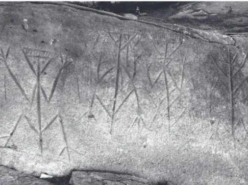 Fig. 6 – Gravures zoomorphes du pétroglyphe de La Carapa,  près de Kourou, en Guyane française (photo S
