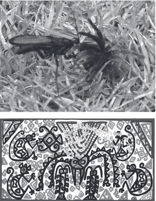 Fig. 2 – Guêpe parasitoïde déposant ses œufs dans une mygale (photo  S. Rostain) et tissu représentant une guêpe pompile entourée de quatre singes, 