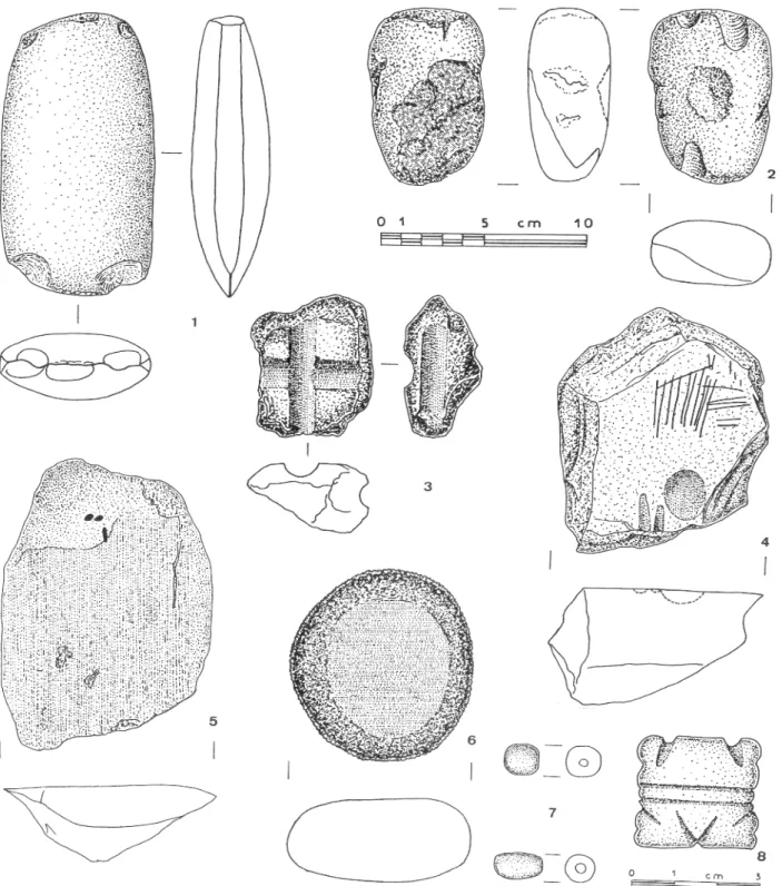 Fig. 5.  — Outils de pierre  de divers  sites  de Guyane 