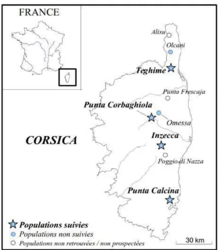 Figure 12 : Distribution géographique des populations corse de  Brassica insularis suivi depuis 1999