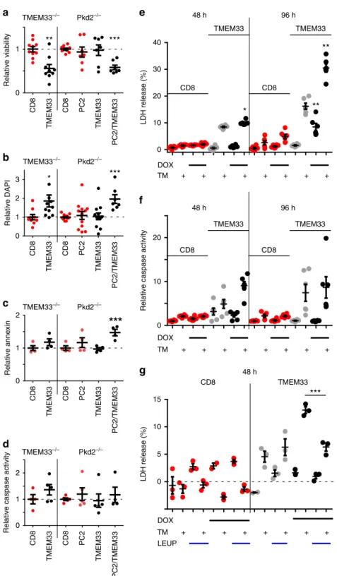 Fig. 6 TMEM33 overexpression induces cytotoxicity in a PC2-dependent manner. a Cell viability determined by measuring the number of Cherry positive cells using a cell sorter
