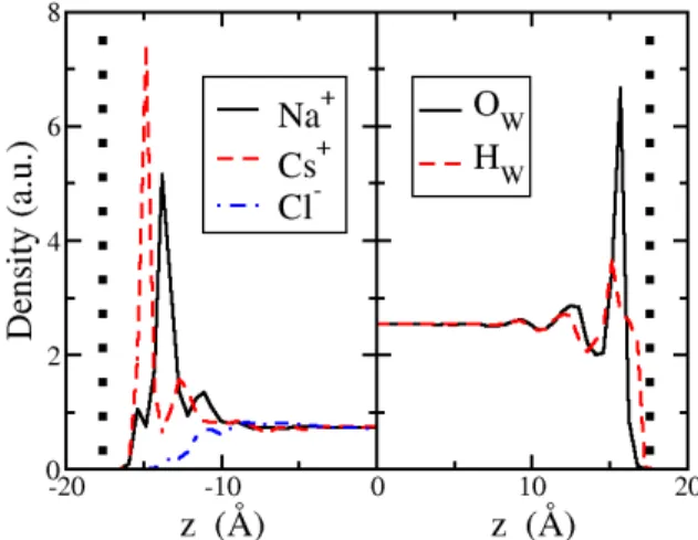 Figure 3. Distribution of ions (left) and water (right) in the micropore facing basal surfaces