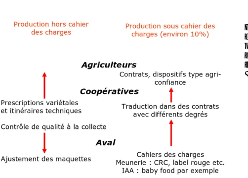 Figure 2  : Dispositifs  d’encadrement des  pratiques et déclinaisons  au niveau des acteurs de la  filière 