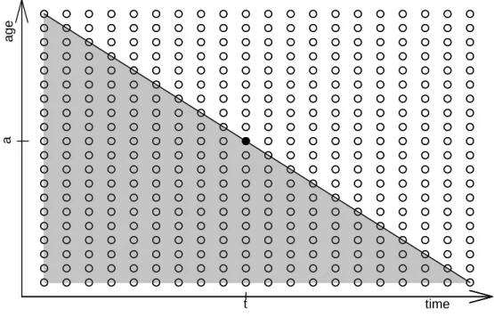 Figure 1: A bi-dimensional representation of the random field X s = IR s − IR, with s = (a, t)