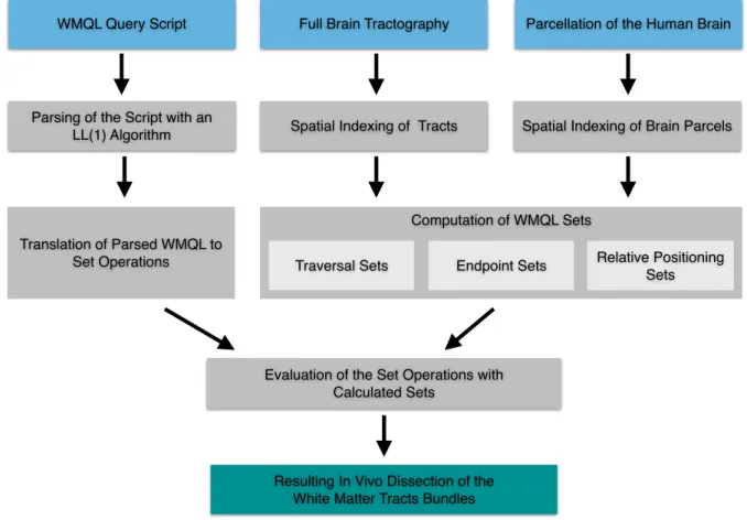 Fig.  3  Schematic  of  the  WMQL  algorithm.  The  three  inputs  are  shown  in  cyan:  the  query  script  consisting of textual descriptions of the tracts; the full brain tractography; and the parcellation of the  human  brain  as  a  labelmap