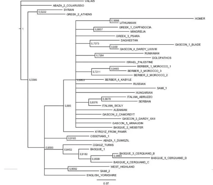 Figure 10. Bayesian tree calculated without the Amerindian versions. 