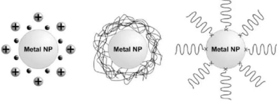 Figure 1.8 Representation of MNPs stabilized by electrostatic interactions, polymers and organic ligands, respectively