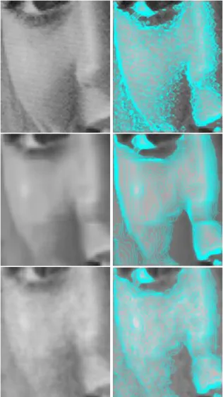 Figure 3: Visual comparison on the image Elaine for σ = 25. In lexicographic order: Noisy, Original, BM3D, PCkNN, NL-means, and PDC-RS.