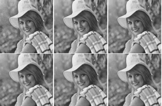 Figure 5: Denoising of the image Elaine using the proposed method, PDC-RS. The image was corrupted by an additive white Gaussian noise with successive standard deviations σ of 10, 15, 20, and 25