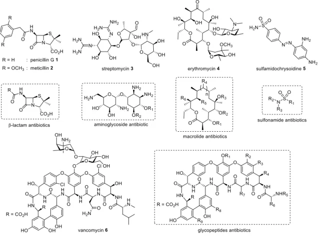 Figure 1. Structure of -lactam antibiotics (1-2), streptomycin 3, erythromycin 4, sulfamidochrysoidine 5  and vancomycin 6 
