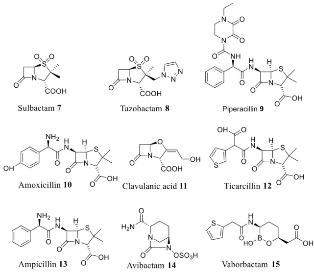 Figure 4. Structure of lactams 7-15 