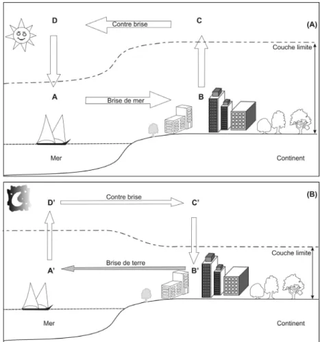 Figure 1. Schéma simplifié de la brise de mer (A) et de la brise de terre (B)