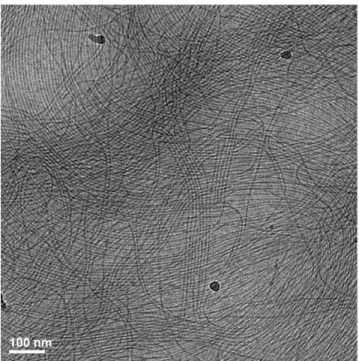 Fig. 5 CryoTEM for monomer B1* solution (0.25% in water). 