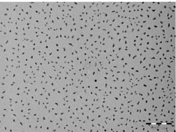 Figure 4. Electron micrographs for (TMTSF) 2 ClO 4 with oc- oc-tylamine and nBu 4 NClO 4 ; scale bar: 1000 nm.
