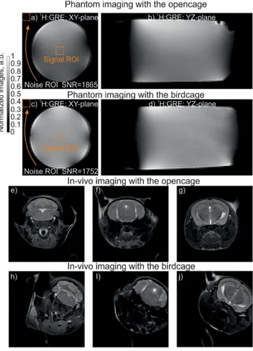 FIG. 5. The normalized images acquired with the opencage coil: (a) the in-vitro image in the central transverse plane; (b) in the central sagittal plane; the  normal-ized images acquired with the birdcage coil: (c) the in-vitro image in the central transve