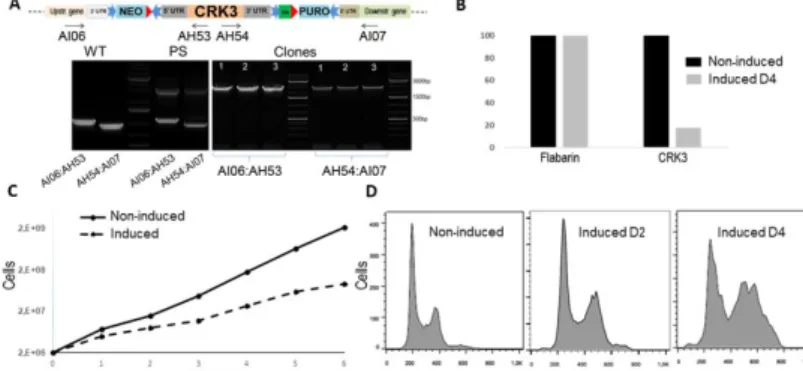 Figure  4:  PF16  mutant  as  a  proof  of  concept  for  the  iKO  strategy  preserving UTRs