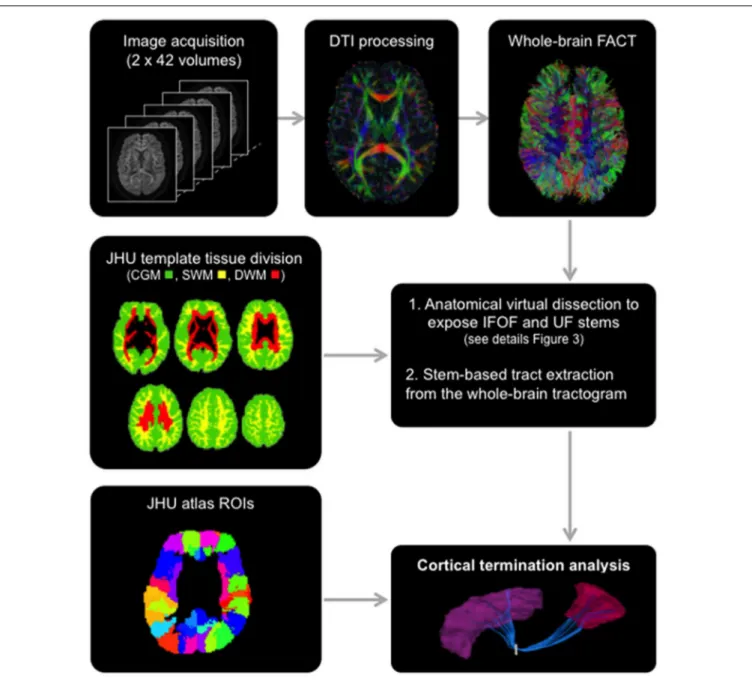 FIGURE 2 | General scheme of the different steps involved in the study from data acquisition to the extraction of the tracts using the stem-based approach to tract connectivity analysis