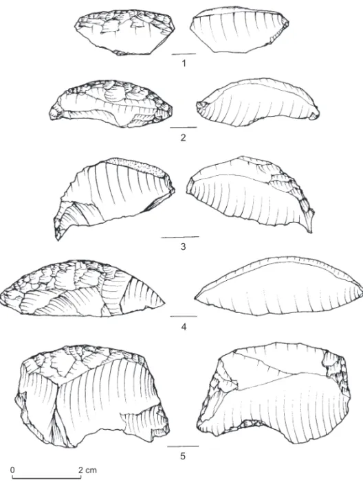 Fig. 8: Bifacial waste. 1-4, transversal spalls; 5, side spall. 