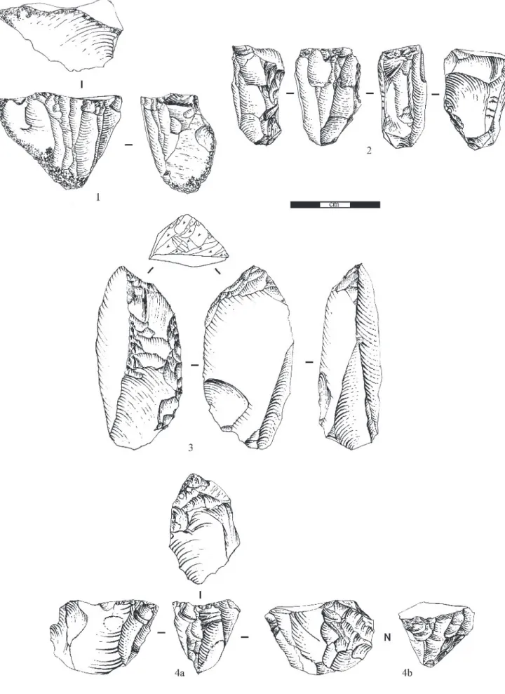 Fig. 12 – Exemples de nucléus à lamelles. N os  1 et 2 : pyramidal ; n° 3 : sur front ventral déjeté ; n° 4 : mixte ; a : sur tranche ; b : sur front dorsal (dessins  D