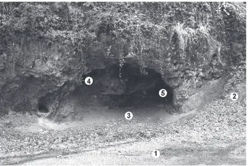 Fig. 2 – La grotte des Scilles en avril 2008. 1 : route goudronnée ; 2 : talus ; 3 : remblai (hauteur approxi- approxi-mative de la couche B) ; 4 : entrée de la cheminée vers la salle supérieure ; 5 : entrée du diverticule