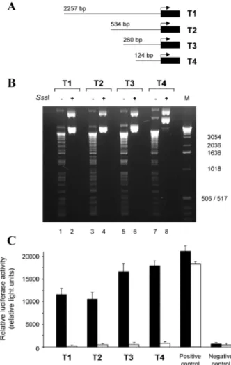 Fig. 2 Inhibition of Human TFPI-2 Promoter Activity by SssI Methyltransferase. 