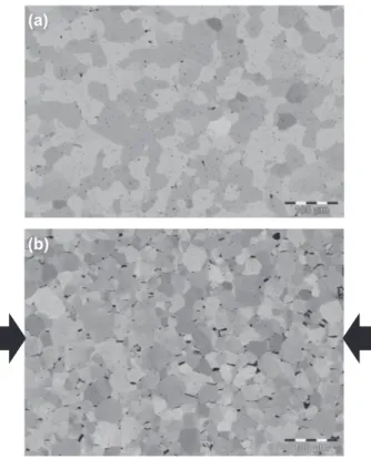 Fig. 1. SEM micrographs, in BSE mode of (a) sample 1 (reference) and (b) sample 3 (deformed at 8%)