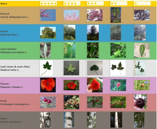 Fig. 1. Examples of PlantCLEF pictures with decreasing averaged users ratings for the different types of views