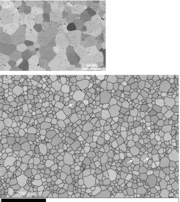 Fig. 1. Examples of images (taken from the SG2 batch reference sample) used for characterizing inter- and intra-granular pores in the reference samplese (a) SEM micrograph (in back-scattered electrons mode), (b) binarized image of the total porosity, (c) g