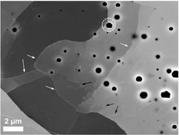 Fig. 6 gives an example of a SEM image acquired in electrons channeling conditions (ECCI mode), on the crept sample from LG1 batch, according to the method described in Refs